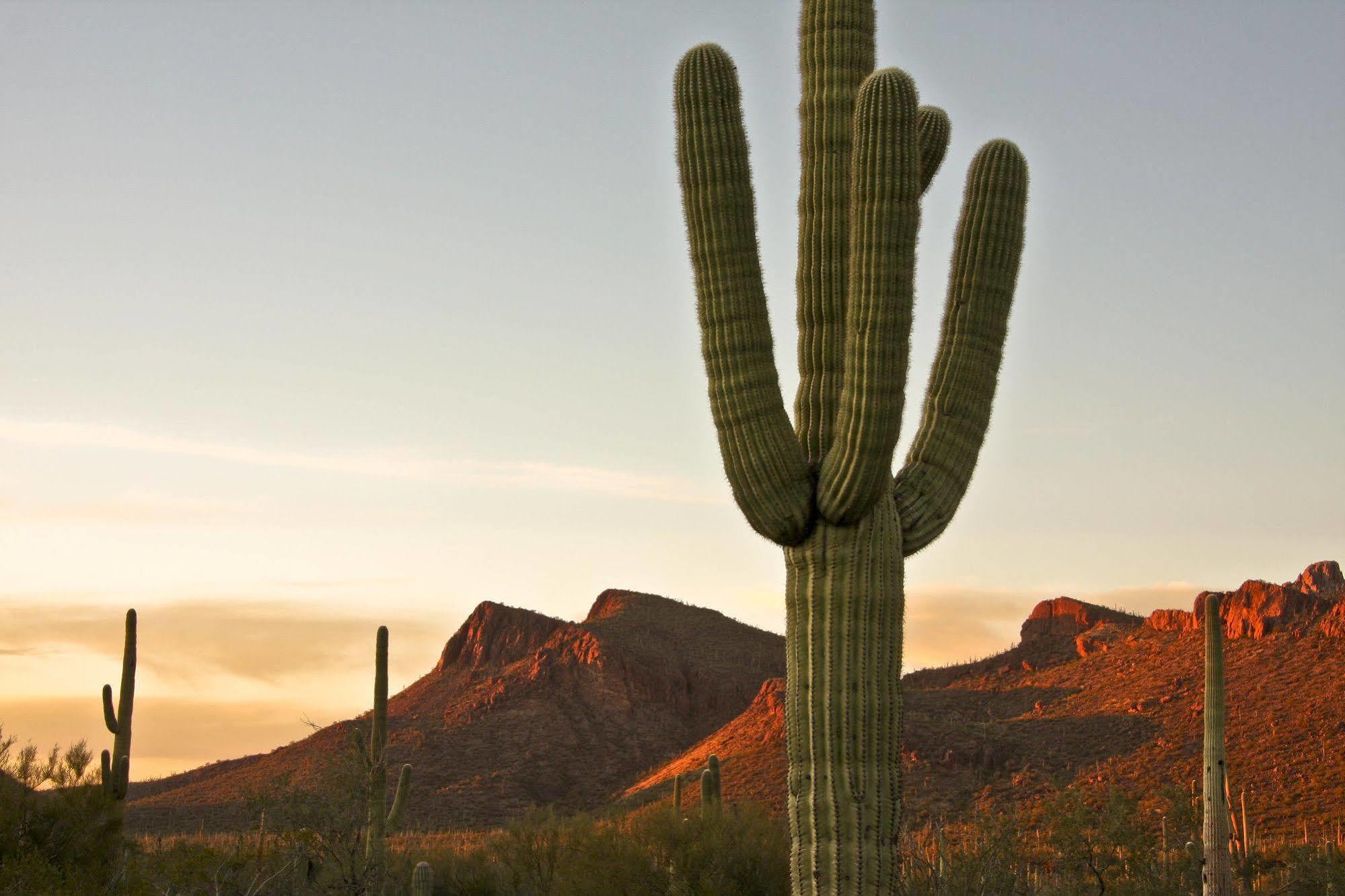 Tucson Marriott University Park Exteriör bild
